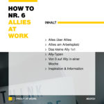 Beitrag Inhalt How To Nr. 6 "Allies At Work"